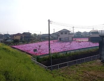 休日のひととき④
