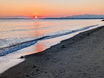 明けましておめでとうございます